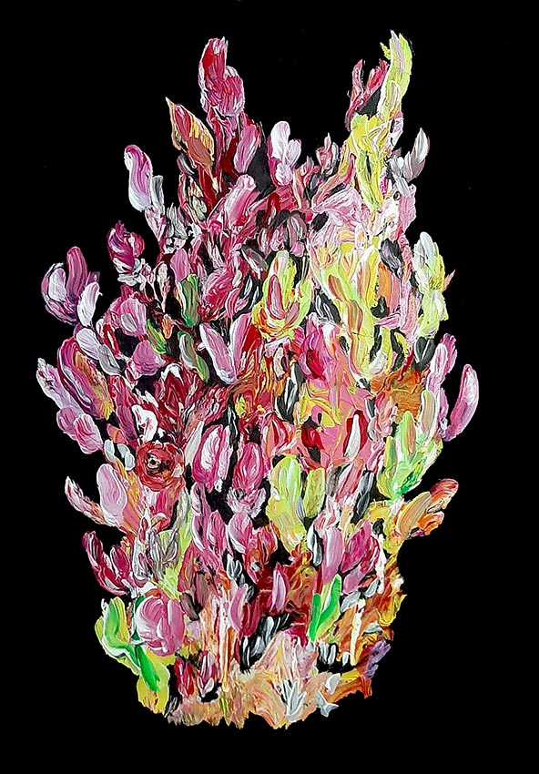 Flowers-by-Patrick-Joosten-2023-January-15th