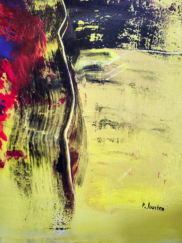 Solar revolution by Patrick Joosten